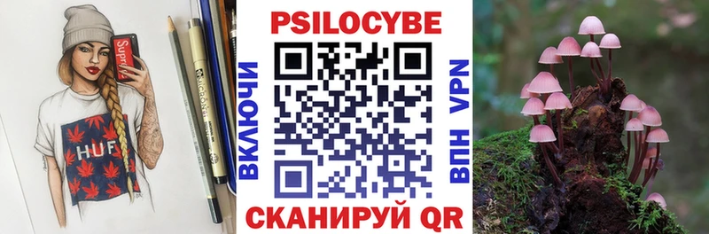 где найти наркотики  Евпатория  Псилоцибиновые грибы Psilocybine cubensis 