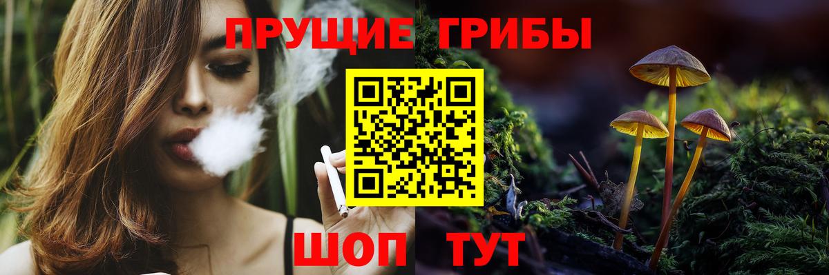 Евпатория  Псилоцибиновые грибы Psilocybe  Вход с VPN 