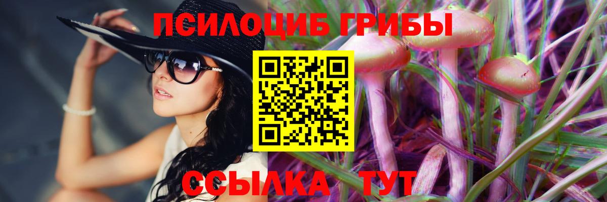 Псилоцибиновые грибы Cubensis Евпатория